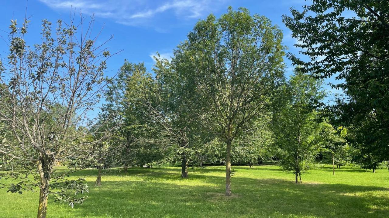 Pacy - Park City Home San Giuliano Milanese Bagian luar foto